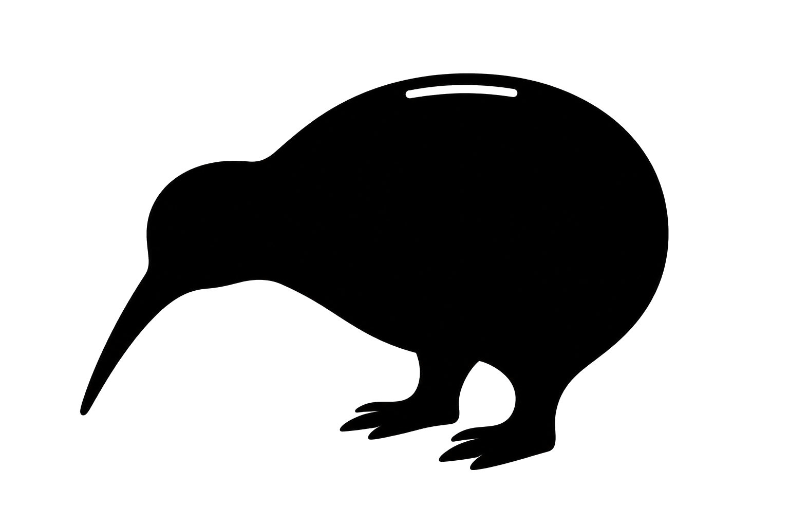 Kiwi Bitcoin